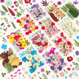 420 PCS Dried Pressed Flowers For Resin Real Nature Crafts Bulk Leaves Kit DIY Dried Flower