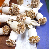 40 White Poppy Sola Wood Diffuser Flowers 2.5 x 4 cm Dia. for Decorate Craft Peony