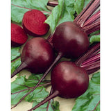 $3.99 Garden Plants