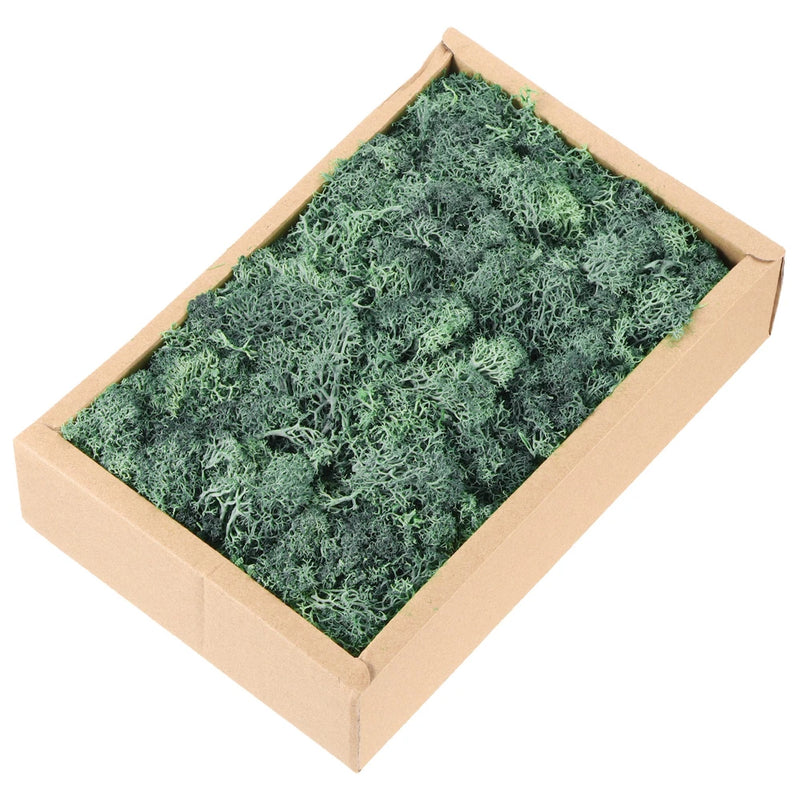 7.8oz Preserved Reindeer Moss, Grass Green Decorative Artificial Fake Moss Green Plant
