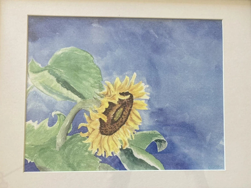 Matted sunflower watercolor print, blue background, green leaves, framed