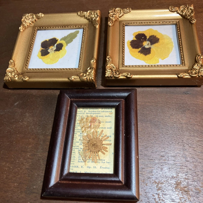 Miniature Dried Flowers Cottage-Cor Wooden Framed Art Midcentury Vintage Dried Flower