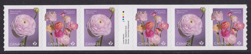 Canada 3373-3374 3374a Ranunculus P coil gutter strip 6 MNH 2023 Ranunculus