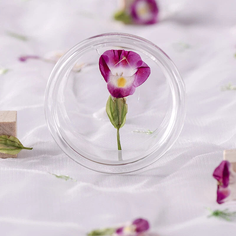 Purple pressed dried flower in clear round plastic case
