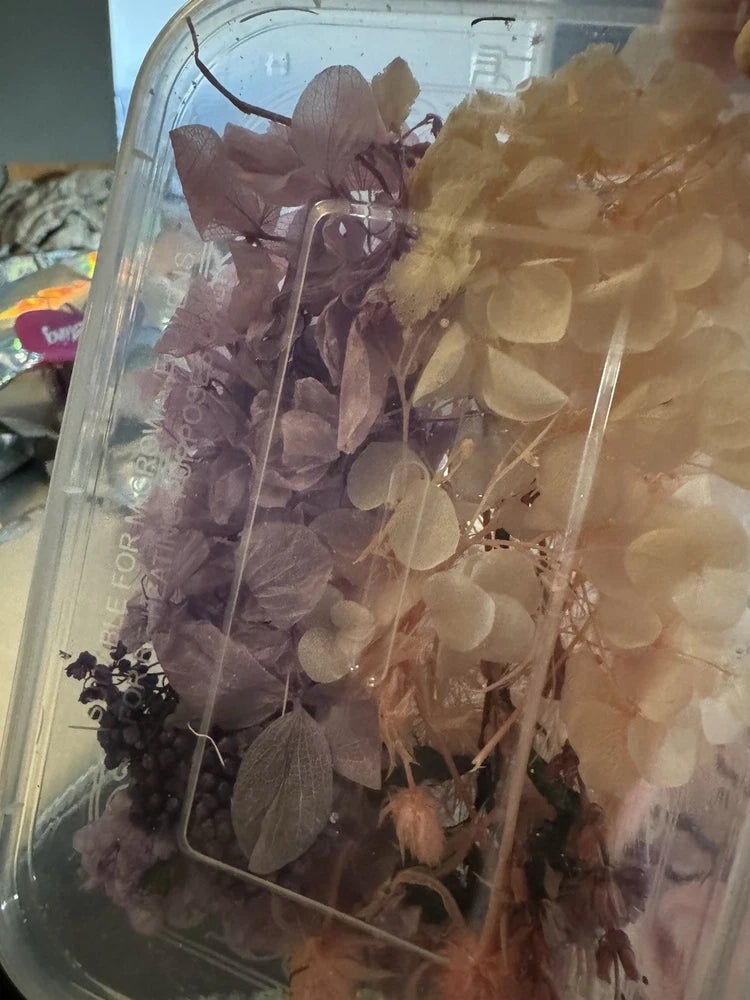 Dried Pressed Flowers for Crafts Dried Flower