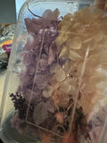 Dried Pressed Flowers for Crafts Dried Flower