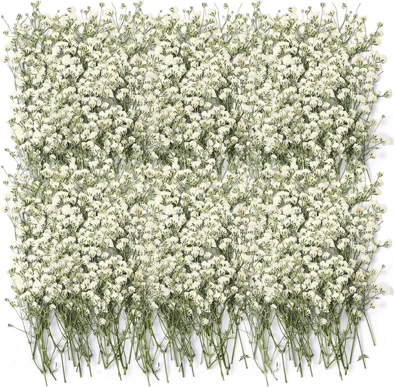 100 Pcs Dried Babys Breath Flowers Bulk Ivory White Real Dried Flower