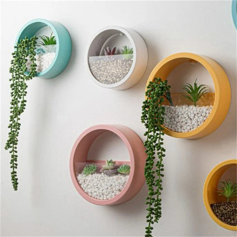 Wall-mounted round planter pots set: teal, gray, yellow, pink, and orange, with succulents