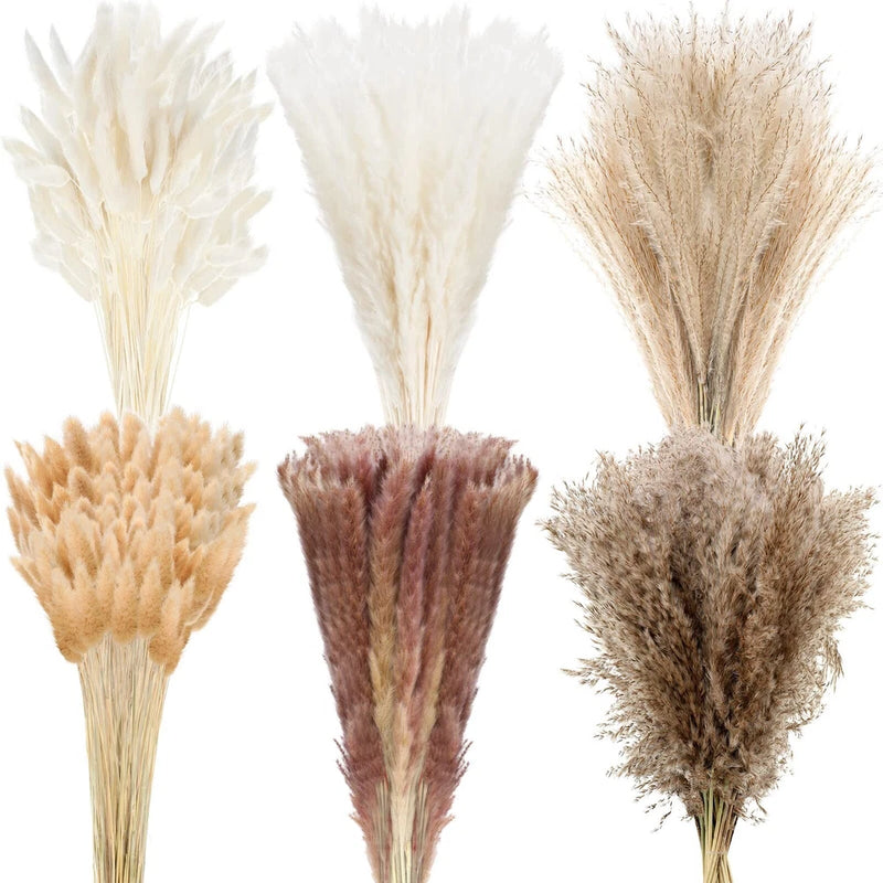 Treela 650 Pcs Dried Pampas Grass Decor Bulk 17" Dried Bunny Tail Fluffy Pomp... Pampas Grass