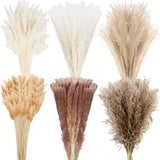 Treela 650 Pcs Dried Pampas Grass Decor Bulk 17" Dried Bunny Tail Fluffy Pomp... Pampas Grass