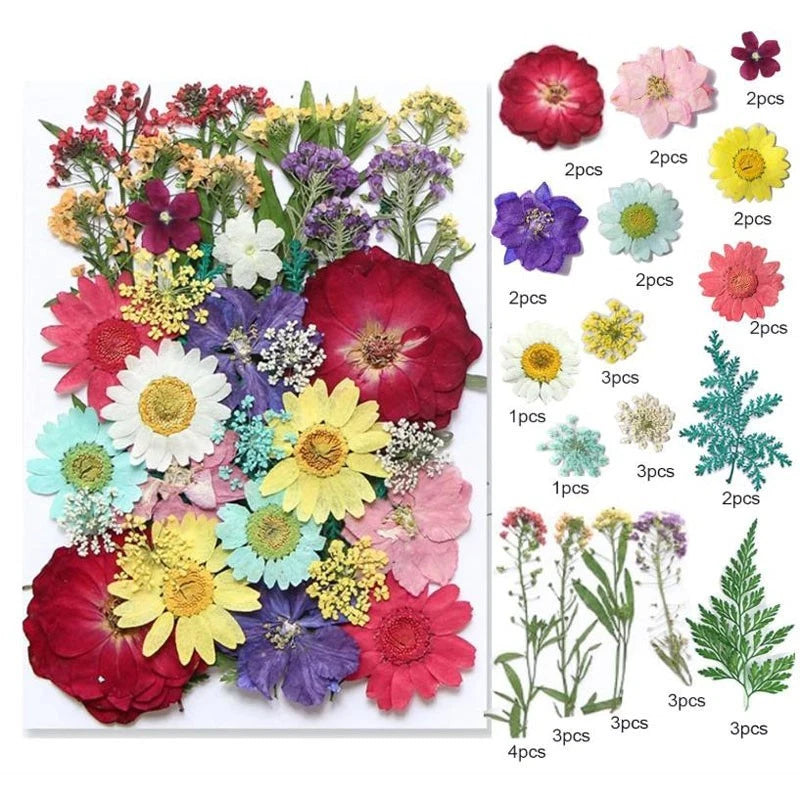 Nature Dried Pressed Flowers Leaves Crafts for DIY Resin Jewelry Making Decor Dried Flower