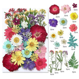 Nature Dried Pressed Flowers Leaves Crafts for DIY Resin Jewelry Making Decor Dried Flower