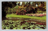 Enchanting Garden Of Lily Ponds Colorful Flowers Vintage Postcard Lily
