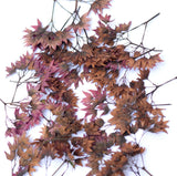 Brown Pressed Flowers with Branches Resin DIY Art Card Making Floral Decor Dried Flower