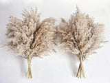 Pampas Grass Decor, Natural Dry Small, Short 20-Nature, Brown Pampas Grass