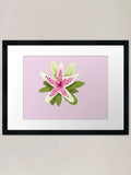 Lily Flower Framed Art Print Framed Wall Art Poster Canvas Print Picture Lily