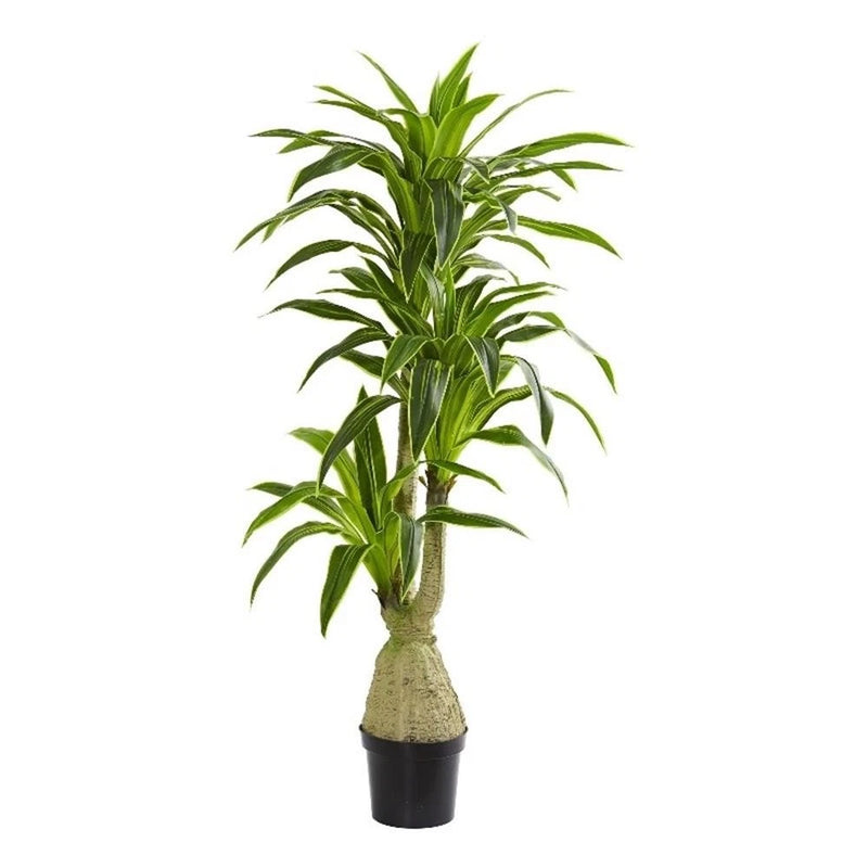 Nearly Natural Dracaena Artificial Plant in Green Green Plant