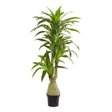 Nearly Natural Dracaena Artificial Plant in Green Green Plant