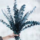 Dried Eucalyptus Stems Bundle - 12 PCS Pine Green for Aromatherapy  Decor Dried Flower
