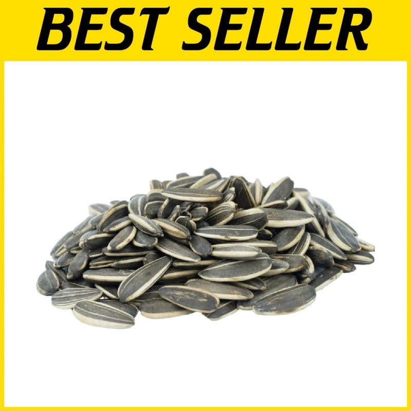 Raw Whole Sunflower Seeds 2 lbs. | Top 14 Allergen-Free Sunflower