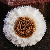 9 Tigers Eye Artificial Sola Wood Flower Diffuser Flowers 8 cm Dia. For Craft Sunflower