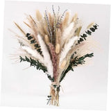 Bpole Dried Pampas Grass Bouquet - 92 Pcs 11-13 inch Pampas 92 Pcs Pampas Grass Pampas Grass