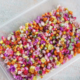 1420Pc Pressed Real Dried Flowers Leaves For Epoxy Resin Jewelry Making Nail DIY Dried Flower