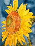 sunflower close up flower art print watercolor painting sun flowers sunflowers Sunflower