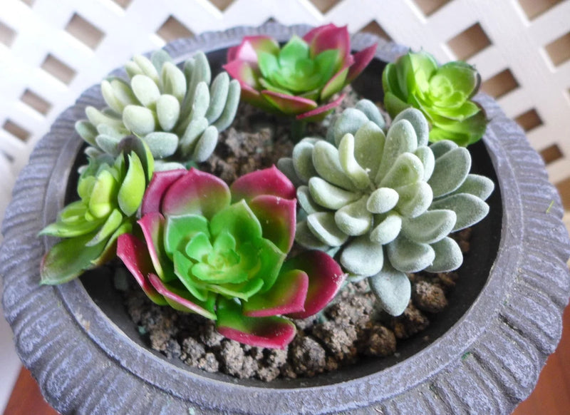6 Pcs Artificial Succulents Snow ball And Lotus Home Garden Decoration Green Plant