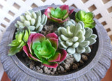 6 Pcs Artificial Succulents Snow ball And Lotus Home Garden Decoration Green Plant