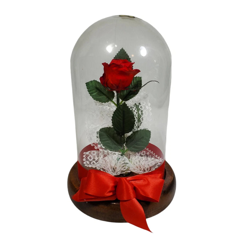 Red rose under clear glass dome with green leaves, lace, and red satin bow