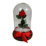 Lifesake Flowers Real Rose in Glass Dome 7" Red Flower Keepsake Romantic Gift Dried Flower