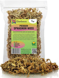 Organic New Zealand Sphagnum Moss - 1 Quart for Orchids by Orchids