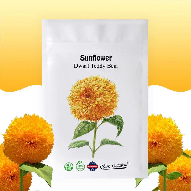 Sunflower Seeds - Teddy Bear - 50 Seeds - Heirloom, Non-Gmo, USA Grown, Excellen Sunflower
