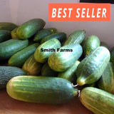 15+ Seeds Wautoma Cucumber Easy Vegetable Garden Planting Edible Garden Plants
