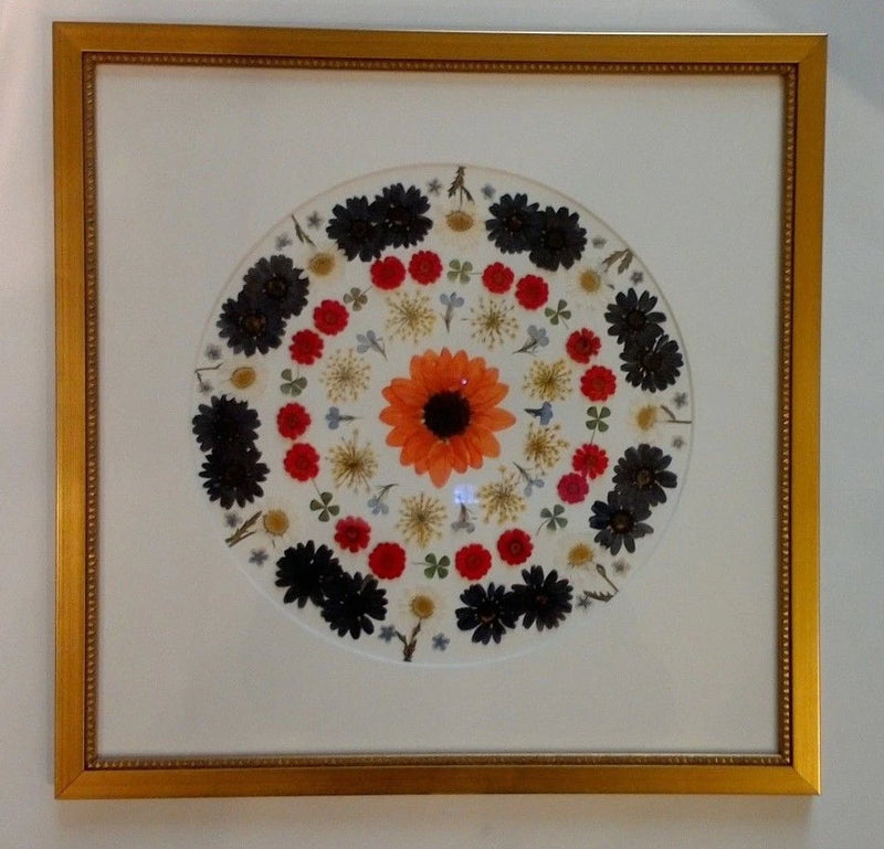 Pressed flower art daisies, 4 leaf clovers with white circle mat with gold frame Dried Flower
