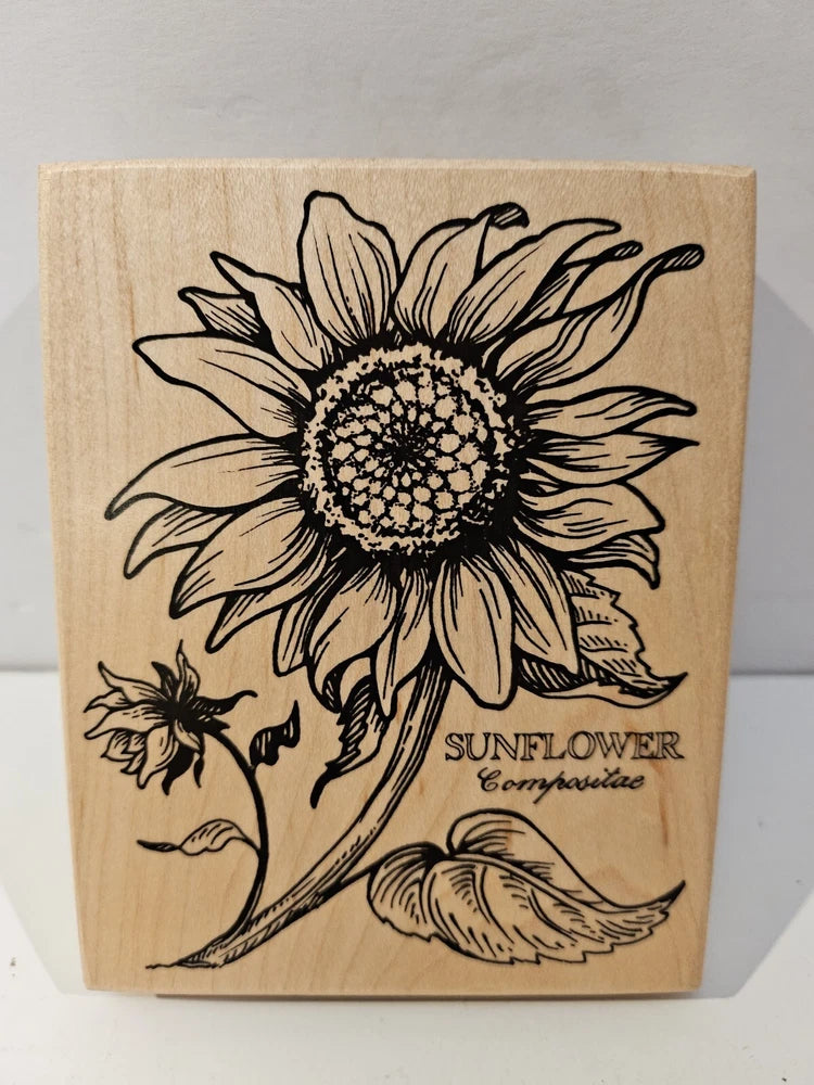 New Vintage 1992 PSX Large 4.5" Sunflower Botani Wood Mounted Rubber Stamp K-025 Sunflower