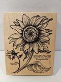New Vintage 1992 PSX Large 4.5" Sunflower Botani Wood Mounted Rubber Stamp K-025 Sunflower