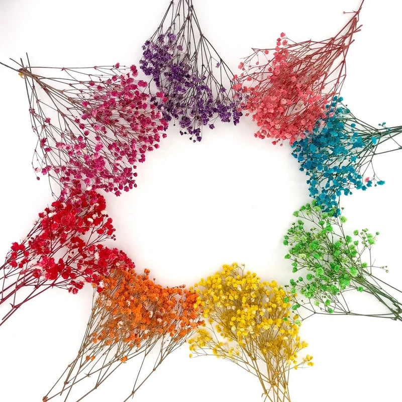 Mini dried baby's breath flowers, mixed colors airy spray stems for decor