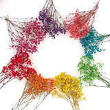 100+Pcs Mini Dried Babys Breath Flowers, 5600+ Multiple Colors Dried Flower