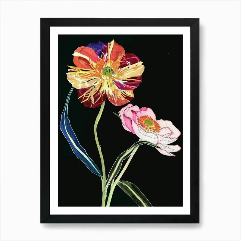 Neon Flowers On Black Ranunculus 1  Framed Wall Art Poster Canvas Print Picture Ranunculus