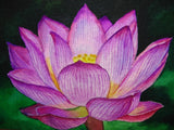 Watercolor Painting Water Lily Flowers ACEO Art Lily