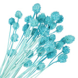 30 Pcs 16 Inch Dried Flowers for Vase Mini Pine Ball Flowers Blue(Stem) Dried Flower