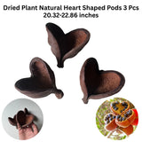 Dried Plant Home Decoration Natural Heart Shape Pods Indoor Outdoor 3 Pcs Dried Flower