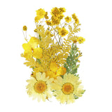 Dried Pressed Flowers Real Pressed Dry Leaves for DIY Crafts Yellow Dried Flower