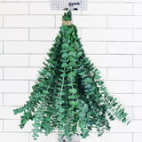 10Pcs Dried Eucalyptus Stems for Shower 17" Real Natural Hanging Green-10pcs Green Plant
