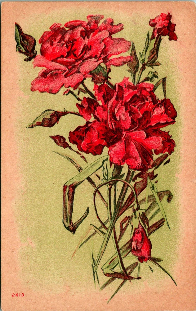 Pink Flower Rose Carnation Blooming Stemmed Postcard used (15261) Carnation