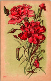 Pink Flower Rose Carnation Blooming Stemmed Postcard used (15261) Carnation