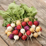200 Rainbow Radish Seeds | Mix Radishes Seeds-Garden Vegetable Seed-Non-GMO Garden Plants