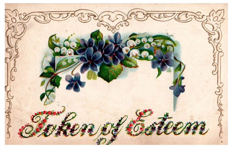 Token of Esteem Violets Lily of the Valley Embossed Postcard PM 1913 0523 Lily